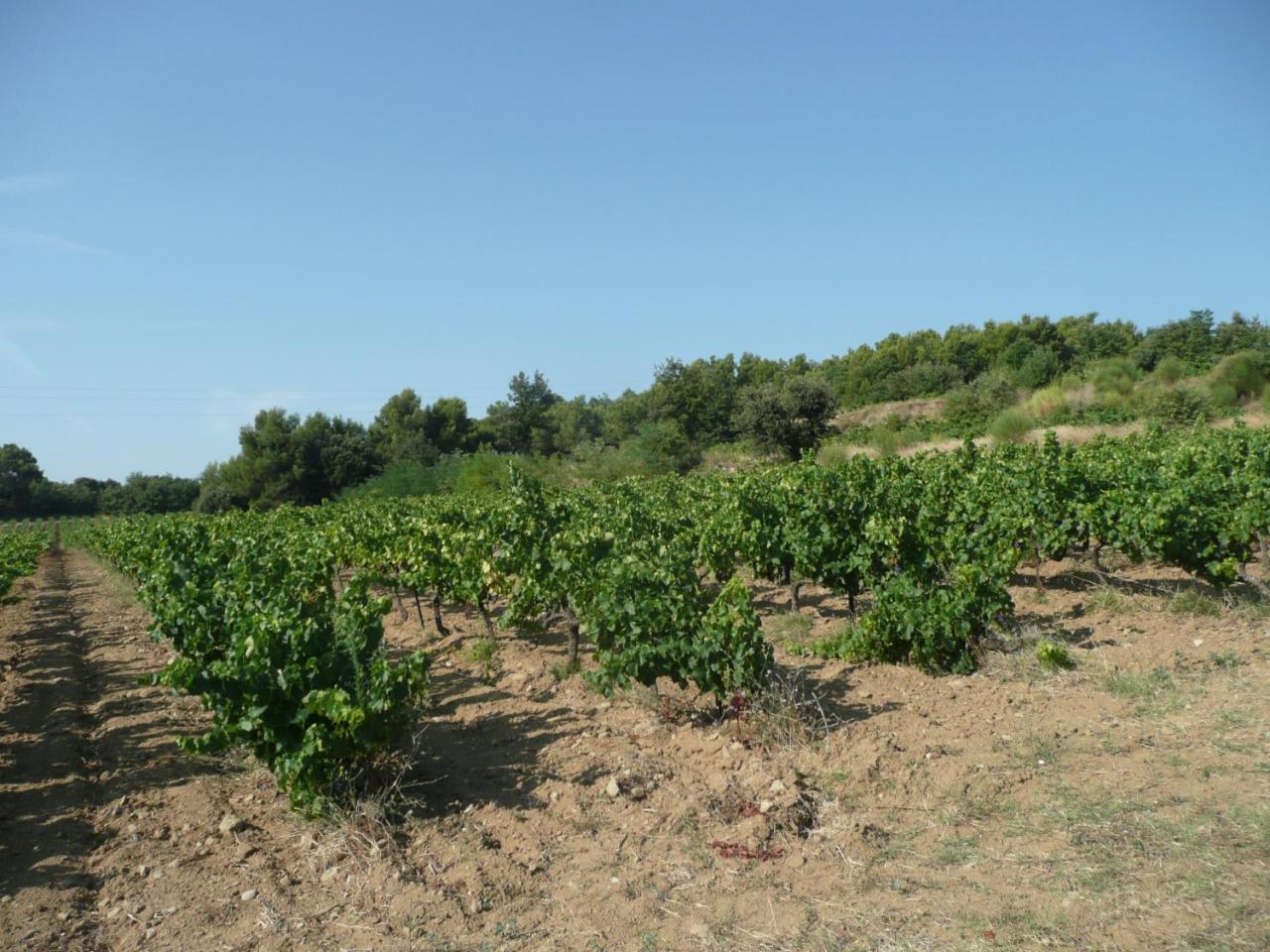 Gite Du Serre De Boudre Climatise, Spa Permanent Buisson Екстериор снимка